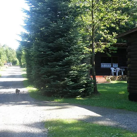 Holiday Bungalowpark Schnee-eifel 4